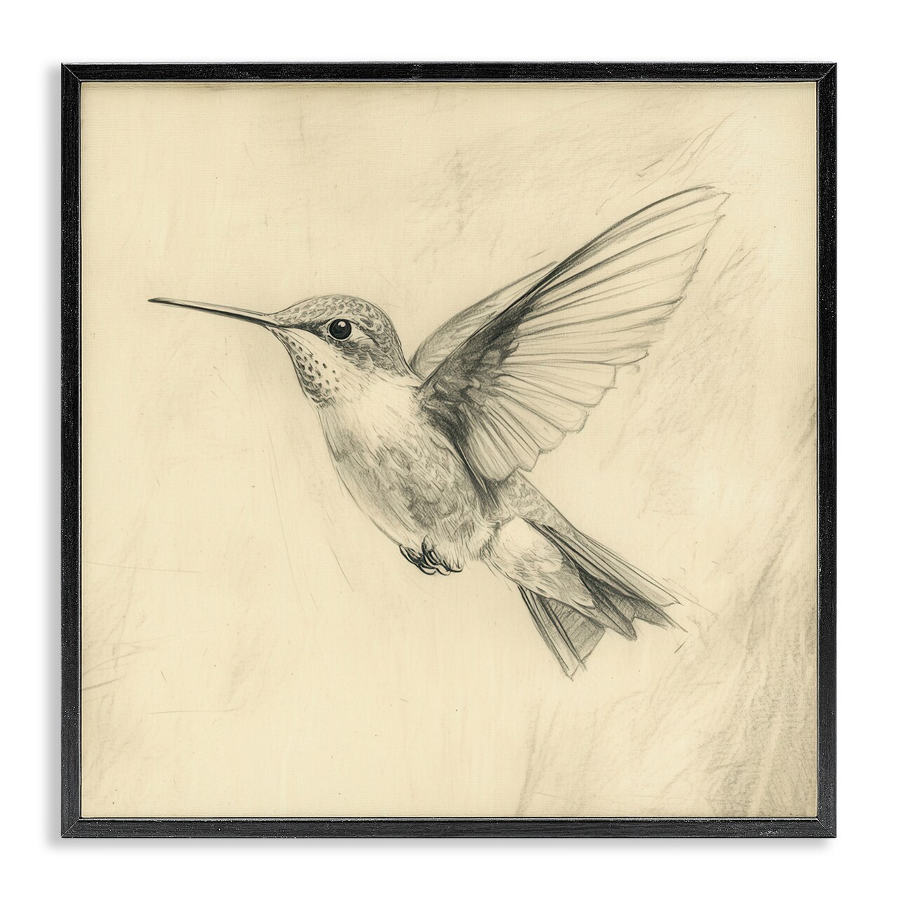 Stupell Industries Vintage Hummingbird Sketch Framed Giclee, design by Petal Prints Design